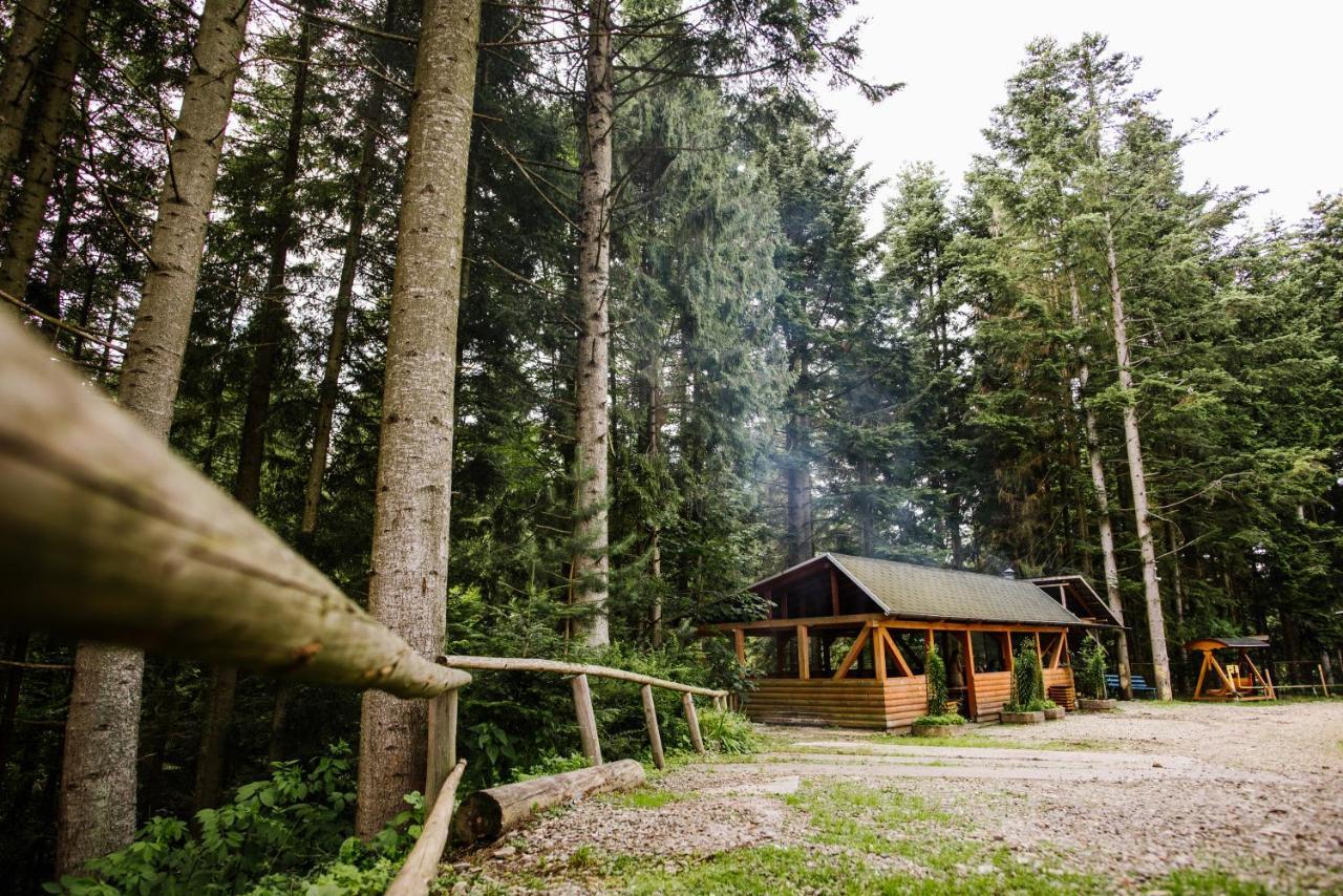 Zelenyy Bir Hotel Skhidnytsia Exterior photo