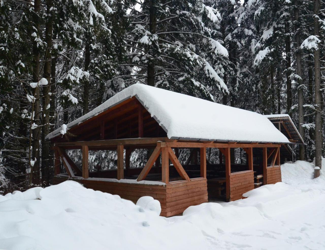 Zelenyy Bir Hotel Skhidnytsia Exterior photo