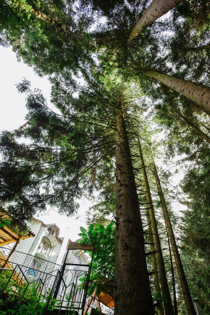 Zelenyy Bir Hotel Skhidnytsia Exterior photo